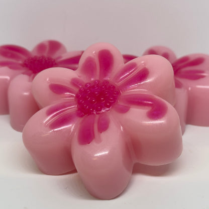 3 SWEET PEA SCENTED PINK FLOWER 